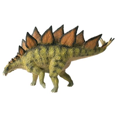 Stegosaurus