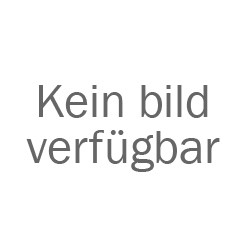 Bersinger AG